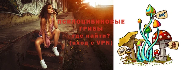 шишки Верхнеуральск